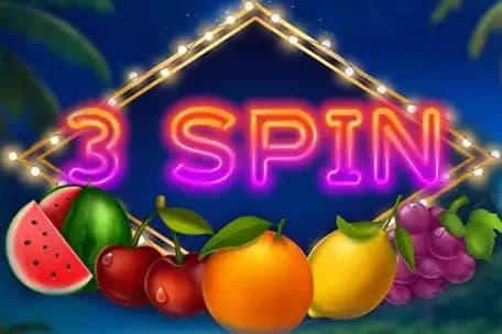 3 Spin
