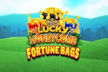 Lucky Honeycomb Fortune Bags