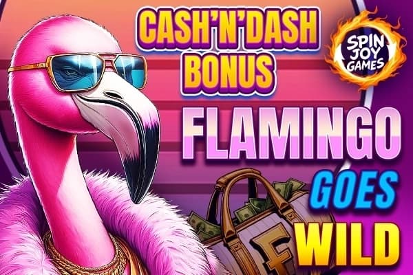 Flamingo Goes Wild