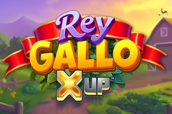 Rey Gallo X UP