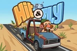 Hit & Fly