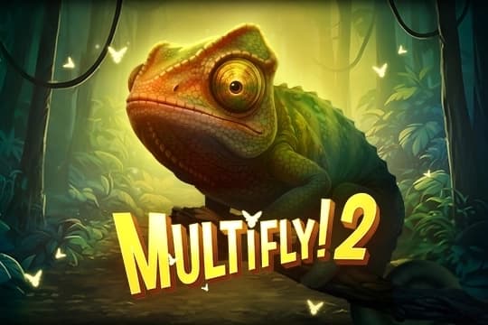 MultiFly 2