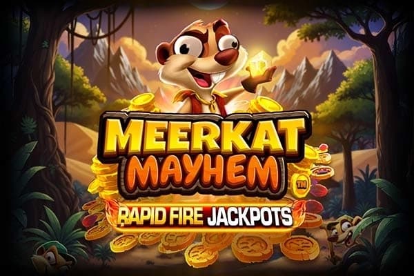 Meerkat Mayhem