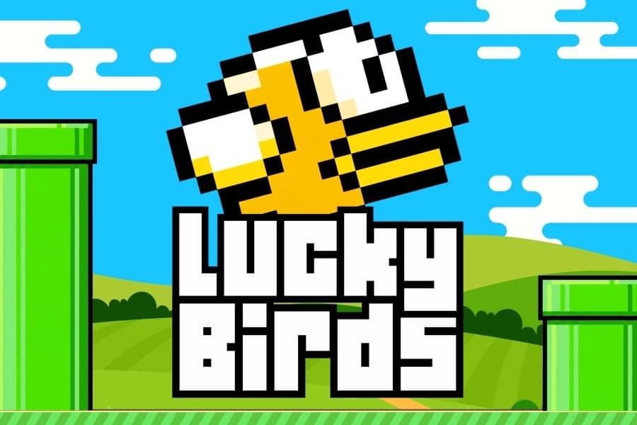 Lucky Birds