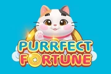 Purrfect Fortune