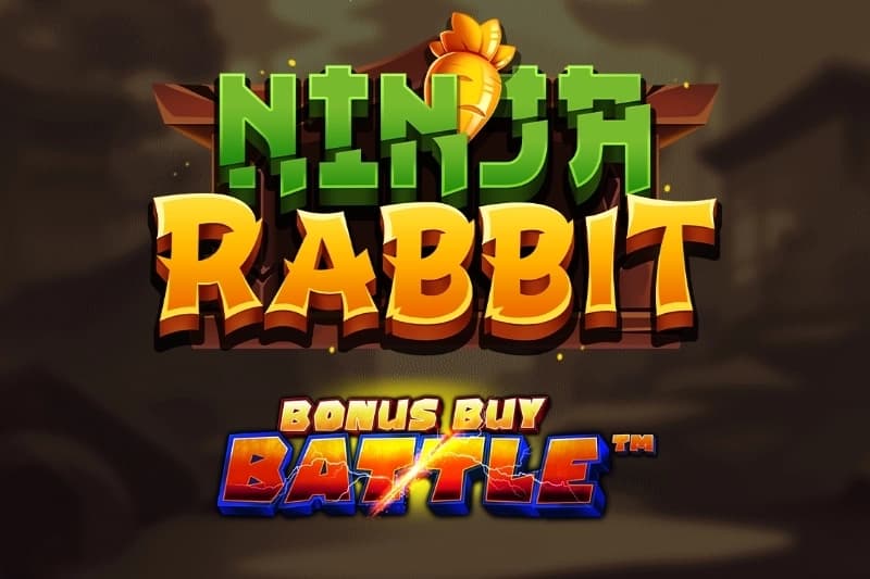 Ninja Rabbit