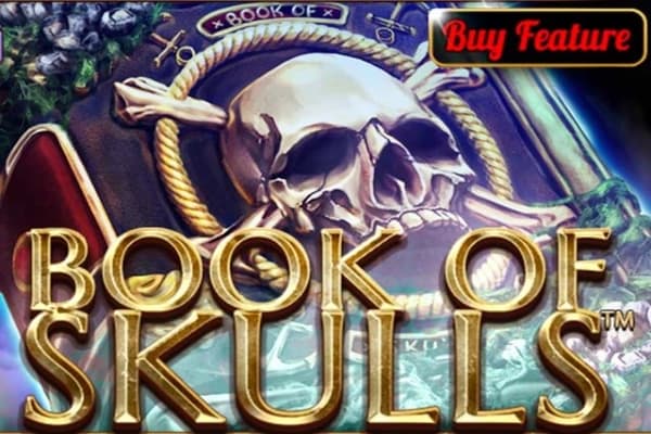 Book Of Skulls