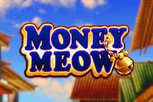 Money Meow