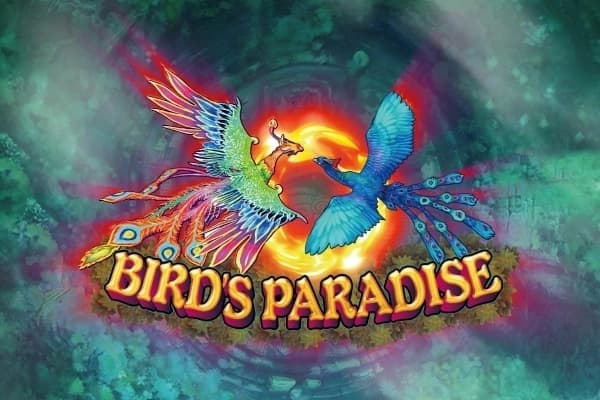 Bird's Paradise