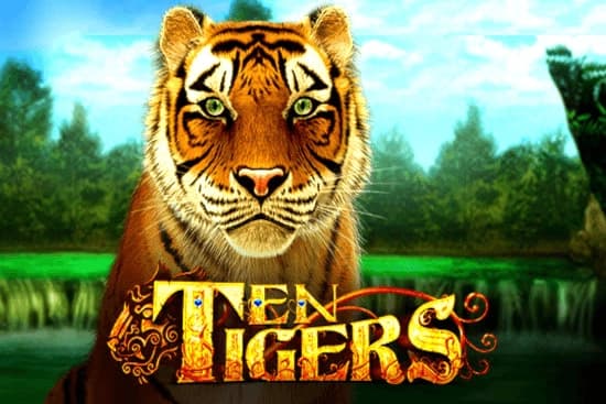 Ten Tigers