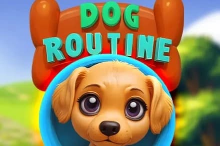 Dog Routine