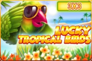 Lucky Tropical Birds 3x3