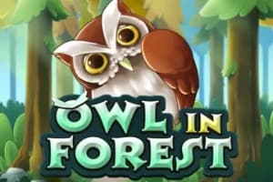Owl in Forest
