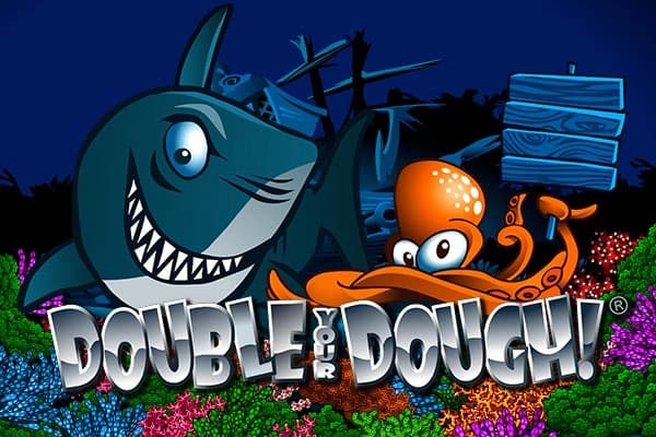 Double Your Dough