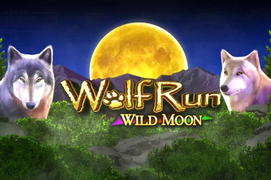 Wolf Run Wild Moon