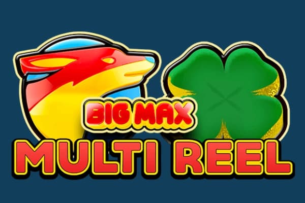 Big Max Multi Reel