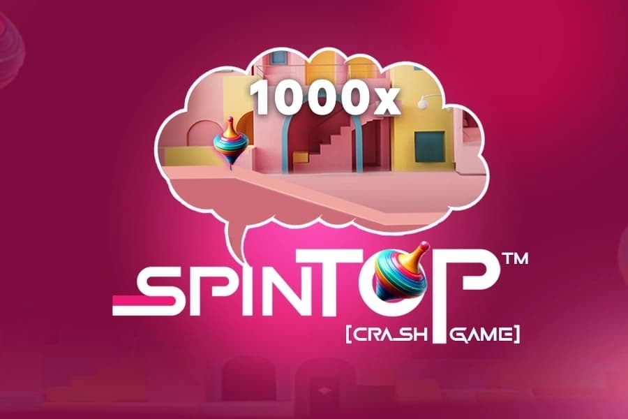 Spin Top